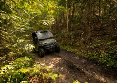 Electric Utility Vehicles for All Your Outdoor Needs